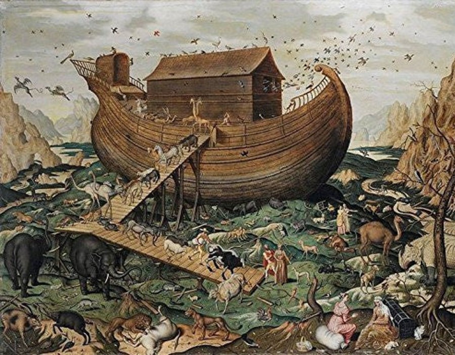 Animals And Fish Artifact Puzzles  | Artifact Puzzles - Simon De Myle Noah Ark Wooden Jigsaw Puzzle